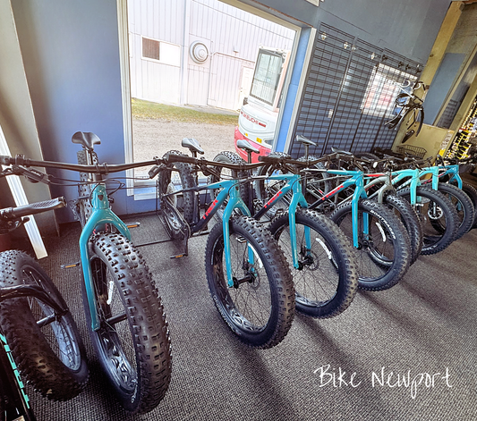 Deluxe Space Saver - Fat Bikes
