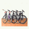 DSS1