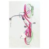 wall-max-with-bike-2023 wall-max-with-bike-2023