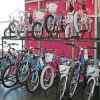 Kids Wall Double Decker
